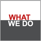 What We Do